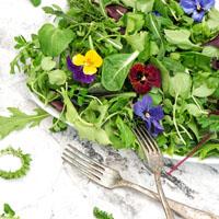 Spring Forth!